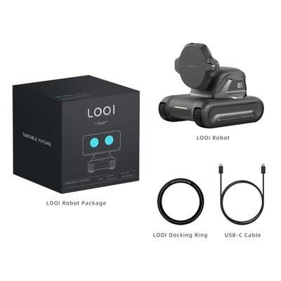 LOOI Robot-Space Black – AI Desktop Robot 4.33 inches, | eBay
