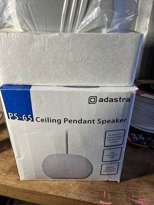 2 Adastra PS65-W 100V 30W Decken Pendelleuchte (weiß)