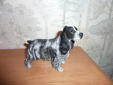 Border Fine Arts Blue Roan Cocker Spaniel Standing Signed MT Dated 2001 VGC