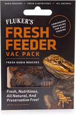 Fluker's Fresh Feeder Dubia Roaches Natural Reptile Food 0.7 Oz