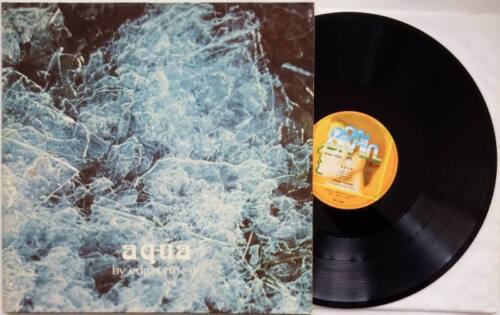 EDGAR FROESE Aqua LP Vinyl Brain 1977 Ambient FOC * RARE - Foto 1 di 1