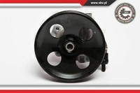 Esen Skv Servopumpe FüR Ford Fiesta V Jh_ Jd_ Fusion Ju_ Mazda 2 Dy 10SKV006