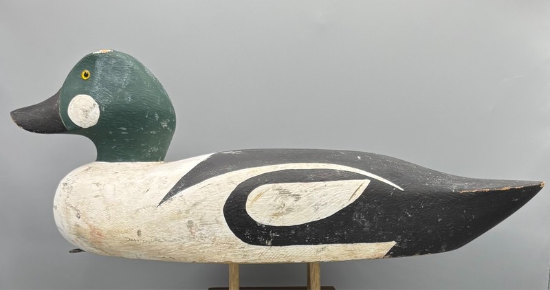 ST LAWRENCE RIVER VINTAGE DUCK DECOY GOLDENEYE DRAKE ***OVERSZD & ORIGINAL PNT*