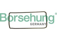 Borsehung Steuerkette B1C030 FüR BMW 3Er Touring E91 E90 E92 5Er E60 E61 E93 1Er