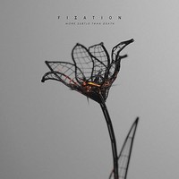 Fixation - More Subtle Than Death - Cdd - G1398Z