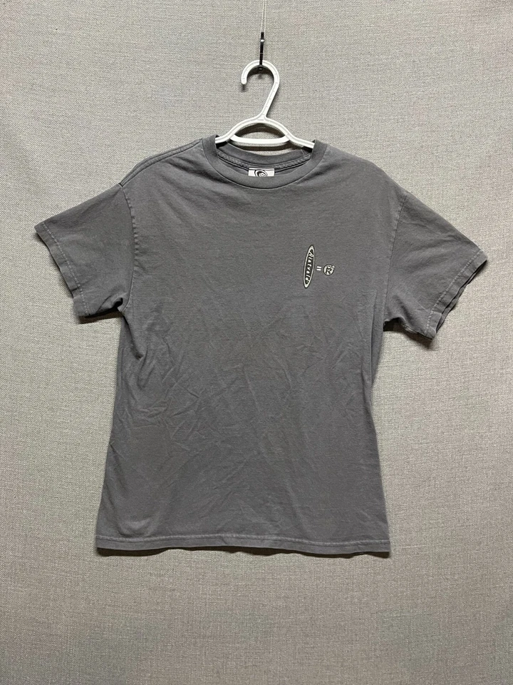 Camisa Rick Rietveld Albert Einstein Para Hombre Pequeña Gris Imaginación Estampado Gráfico Foto 3 de 4