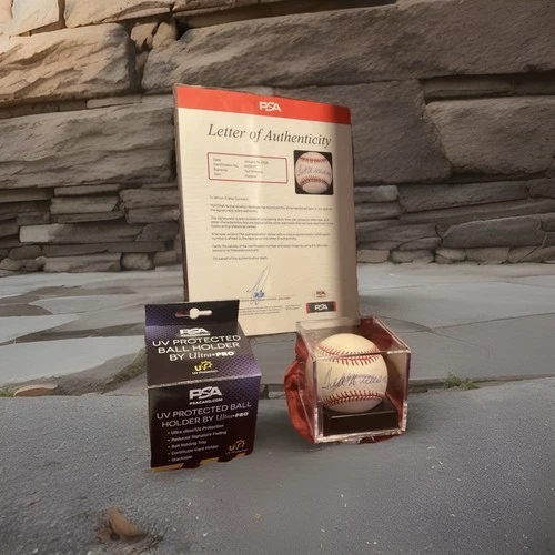 TED WILLIAMS AUTOGRAPHED PSA AUTHENTICATED BASEBALL