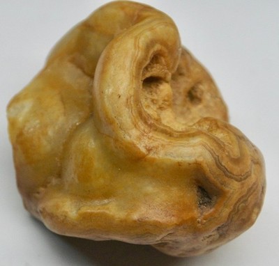 Large Crowley's Ridge Agate weighs over 1lb. 16.16 ounces FREE SHIPPING + BONUS