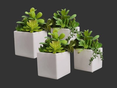 4 Set Mini Artificial Succulent Plants in 4x4x7 White Ceramic Cube-Shaped Pots