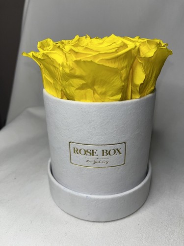 Rose Box New York Yellow Forever Roses with White Box - 6 Count | eBay