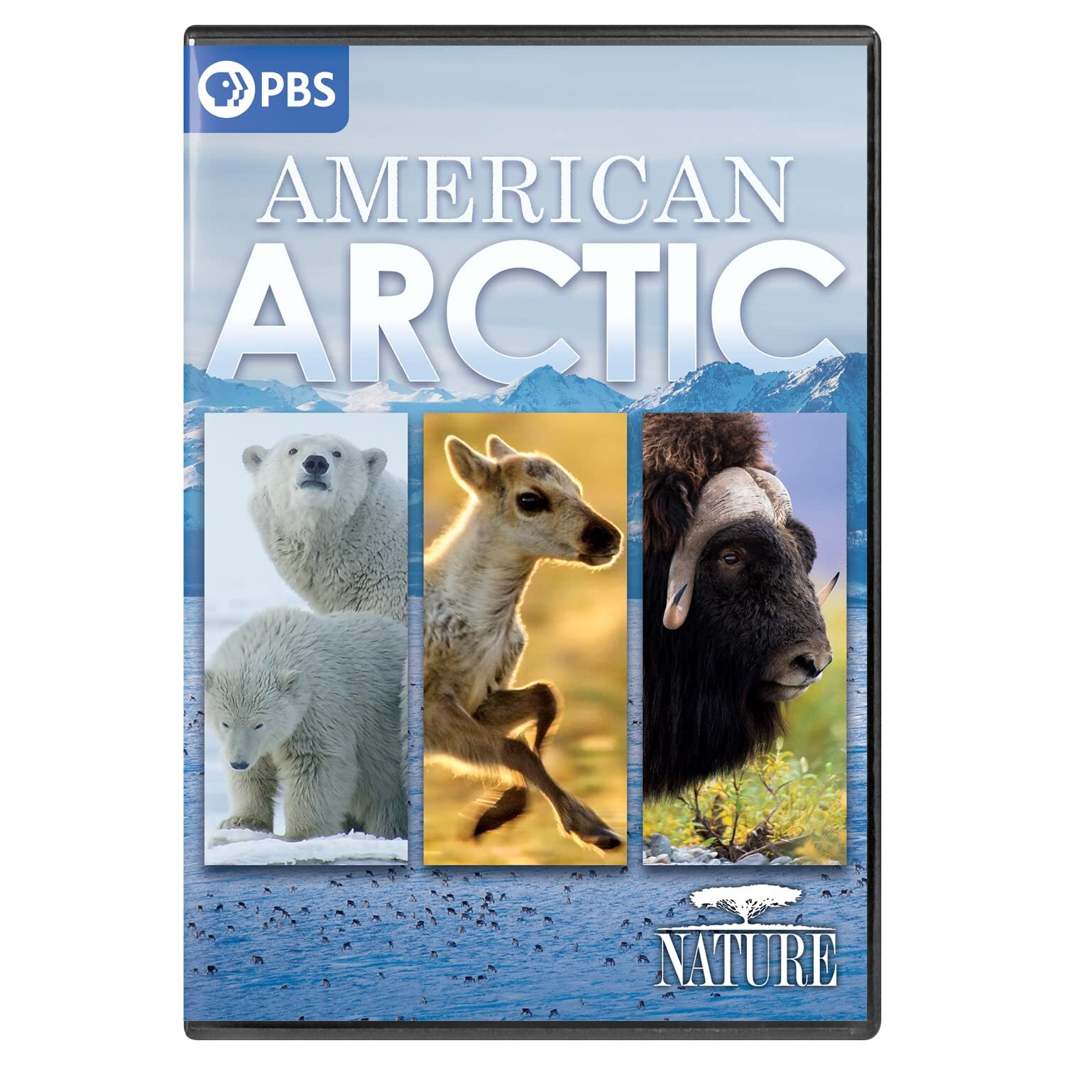 Nature: American Arctic (DVD)