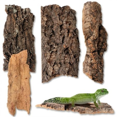 BESPORTBLE 4PCS Cork Bark Flats for Terrarium 23.00X7.50X1.00CM, As Shown 