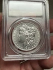 1899 Morgan Silver Dollar, Lustrous Solid Gem BU Better DateOnly 333,000 Minted