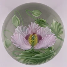 DANIEL SALAZAR FOR LUNDBERG STUDIOS 2000 PINK POPPY GLASS PAPERWEIGHT 3.6"