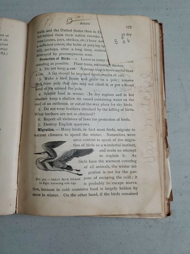 L.H.Bailey W.M.Coleman 1910 Animal Biology Human Biology HB - Picture 7 of 8