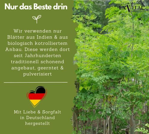 BIO Moringa Tabletten - 3000mg echtes Oleifera hochdosiert von EXVital - Bild 6 von 8