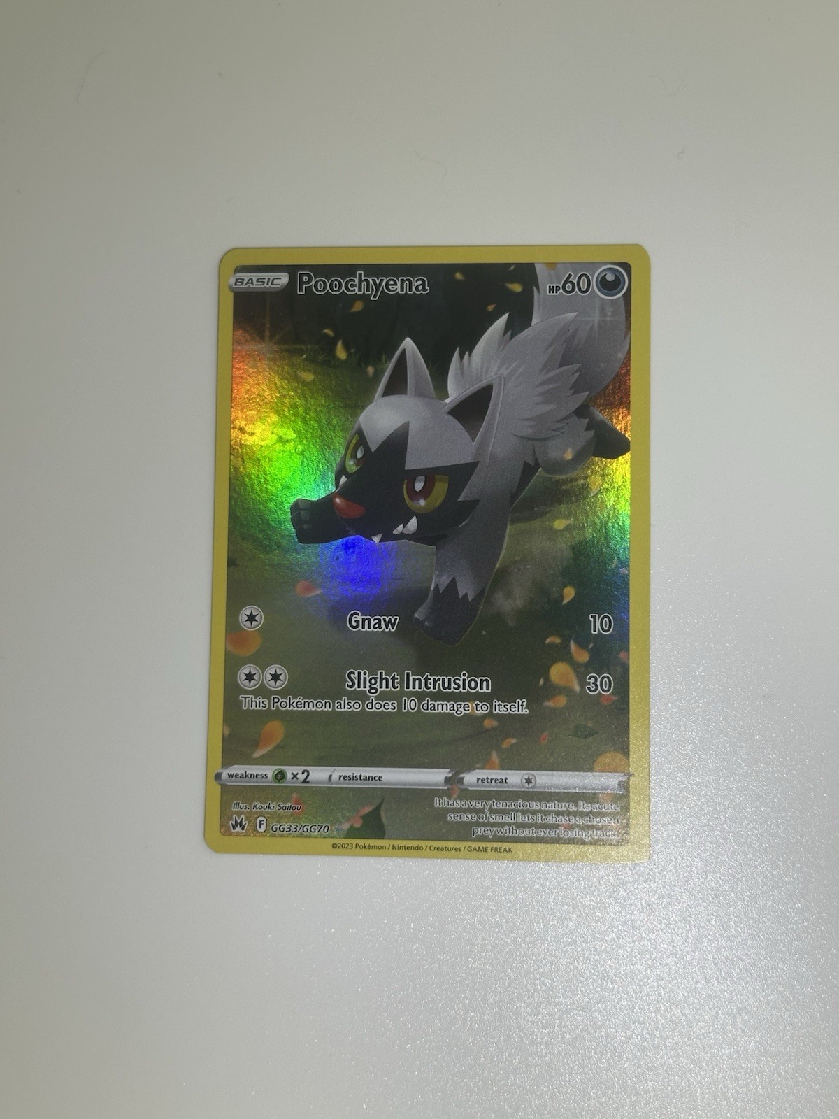 Pokémon TCG Poochyena Card Crown Zenith GG33/GG70 Galarian Gallery NM/M