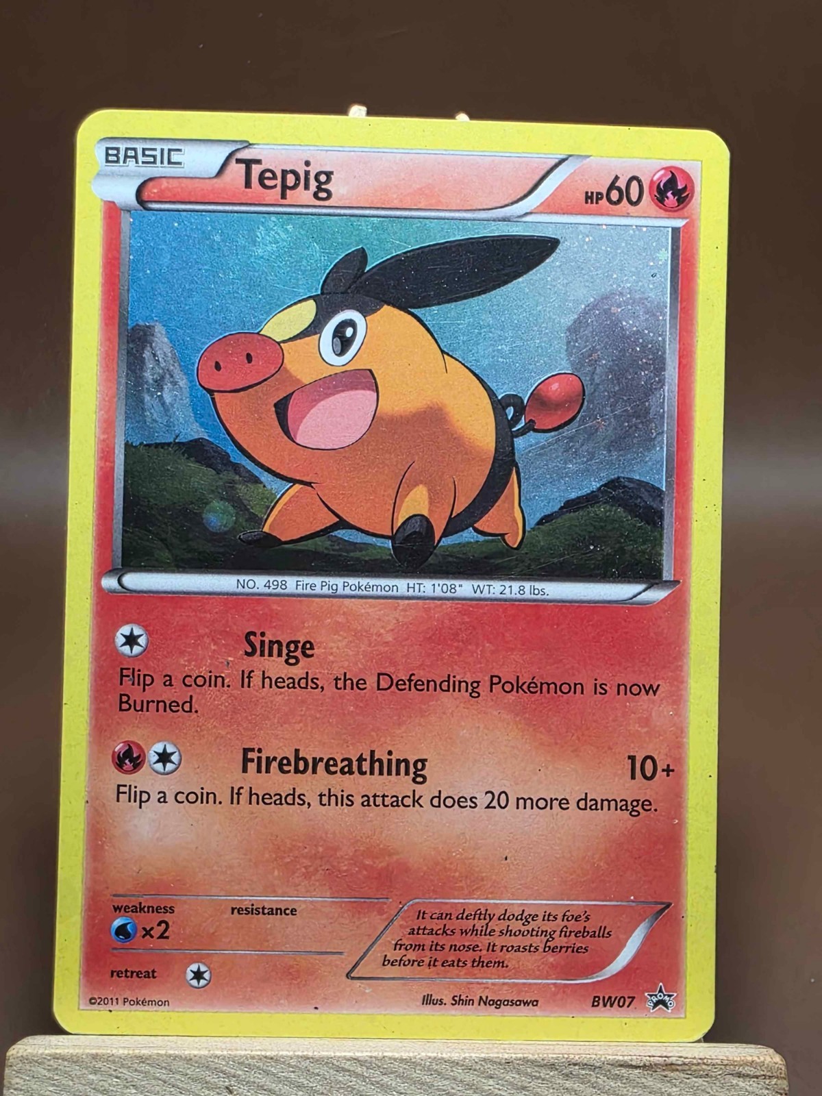 HP Pokemon Tepig Promo Black and White Promos BW07