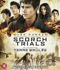 Maze runner - Scorch trials (DVD) Dylan O'Brien Ki Hong Lee Wes Ball (UK IMPORT)