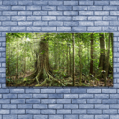 Tableau Acrylique 140x70 – Forêt Nature, Impression Sur Verre, Tulup