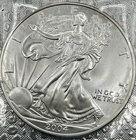 2004 American Eagle Walking Liberty Silver  Dollar Coin 1 oz .999 Silver