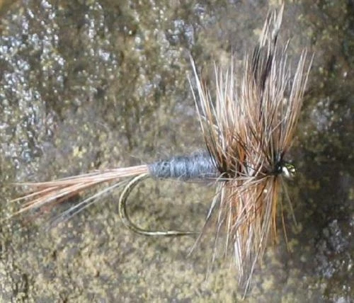 Angelsport-Köder & Futtermittel Rotfeder