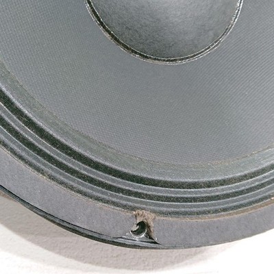 単品】Electro-Voice EVM12S（P/N 812-0890） Electro-Voice EVM-12S