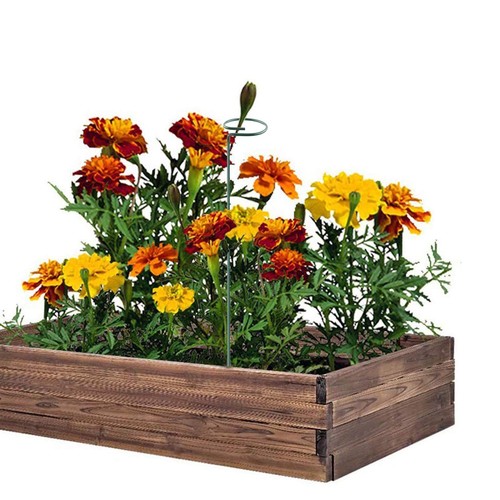 Plant Stake Support - 6 Pack, Garden Single Stem Support Stake Plant Cage Sup... - Picture 4 of 7