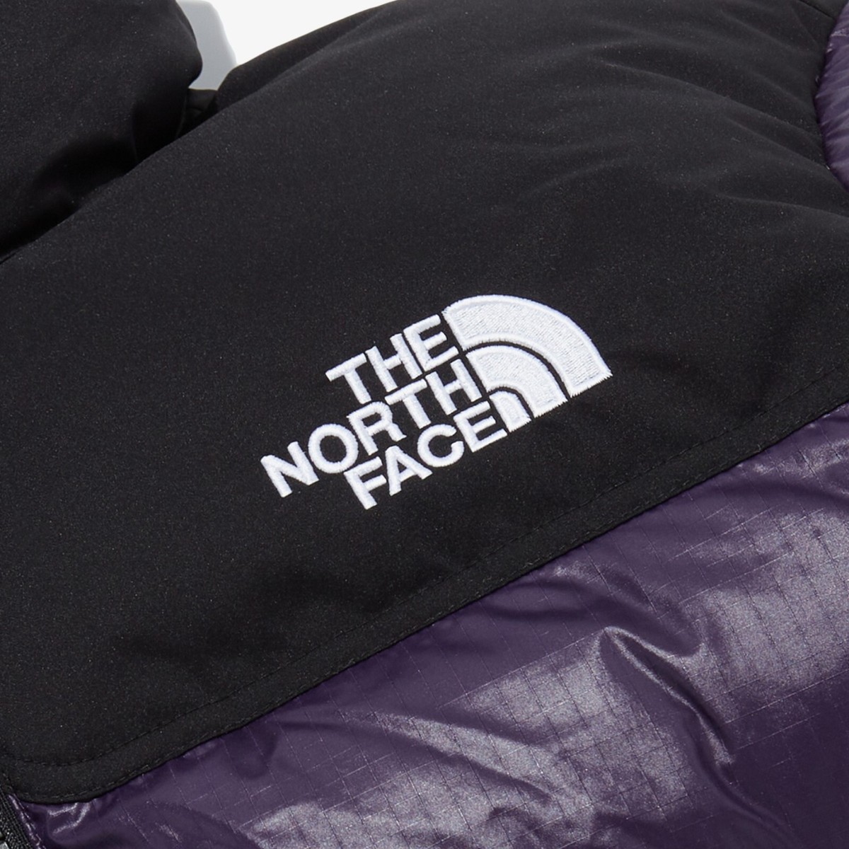 THE NORTH FACE　NOVELTY IMPULSE PULL New Womens North Face Ladies Tech Ambition Impulse Jacket
