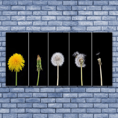 Acrylglasbilder Wandbilder Druck 140x70 Pusteblume Löwenzahn Pflanzen