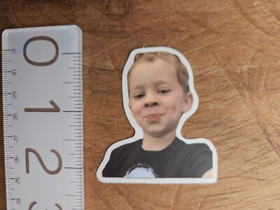 Sticker Funny Sticker Funny Decal Meme Sticker Meme Decal Joke Comedy