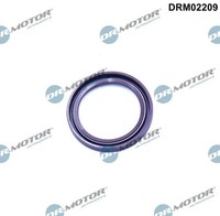 1X Dr.Motor Automotive DRM02209 Wellendichtring Kurbelwelle FüR VW Porsche Audi