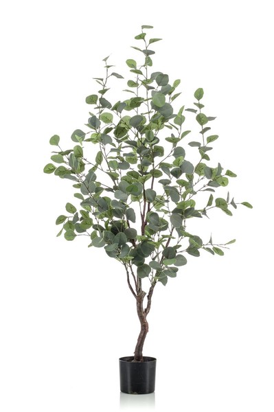 Artplants Kunstbaum Eukalyptus Anuhea, Kunststamm, GrüN-Grau, 120Cm-image