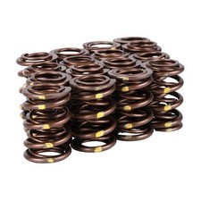 Skunk2 Pro Series Xp Dual Valve Spring Set For Hondaacura B-series Vtec Skunk2 Pro Series Xp Dual Valve Spring Set For Hondaacura B-series Vtec