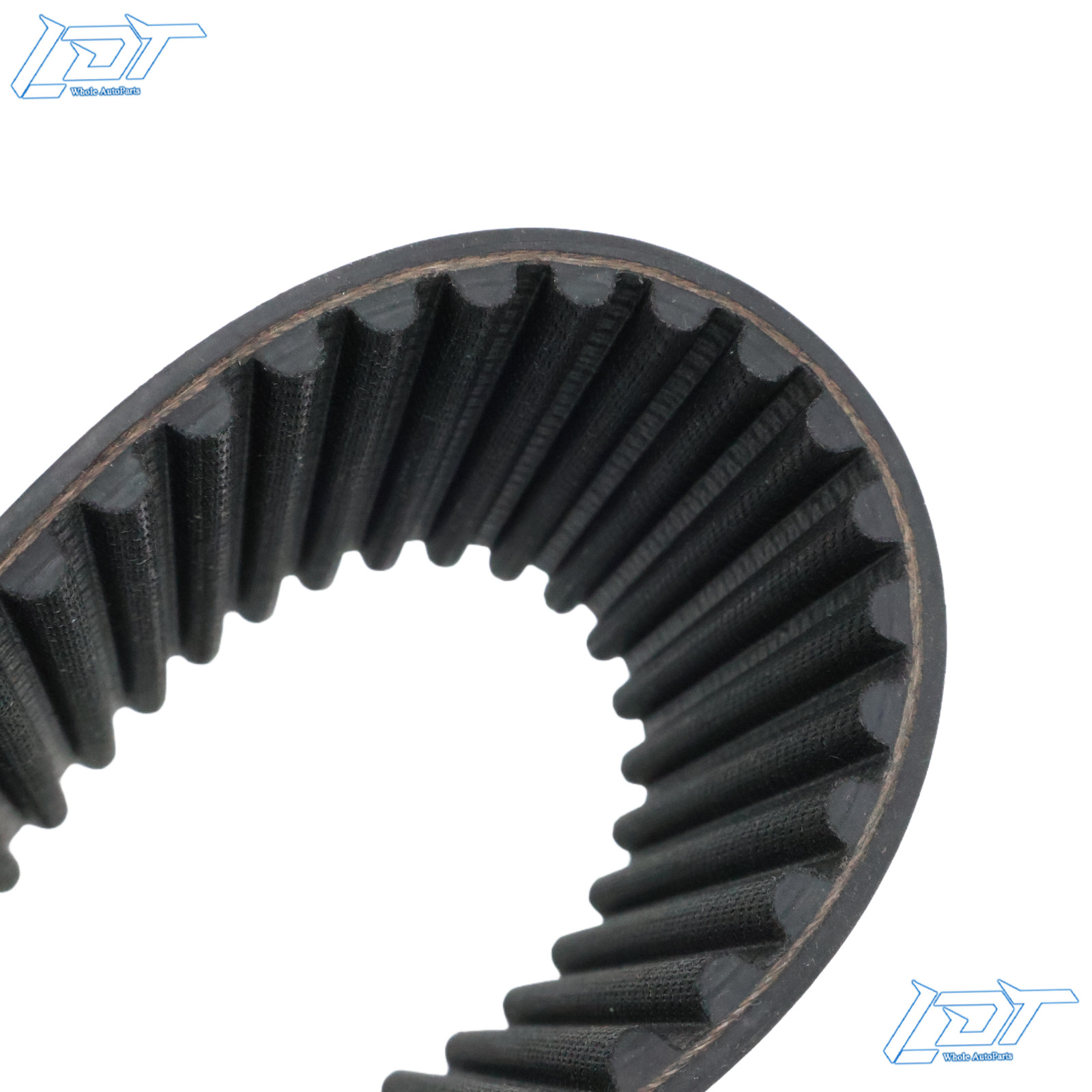 New BDL BDL-141 8mm 3" Open Primary Belt 141T For Harley