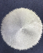 Set of 6 placemats elegant design, heat-resistant, 30 x 30 cm, color silver