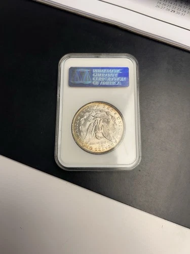 1882 Morgan Silver Dollar MS 62 NGC Certified