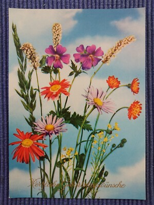 old postcard postcard meadow flowers flowers birthday greeting card