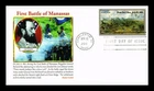 US COVER FIRST BATTLE OF BULL RUN CIVIL WAR SESQUICENTENNIAL FDC PANDA CACHET