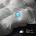 Premium Feathers Down Duvet Insert Comforter Queen All Season Medium Weight — photo 2