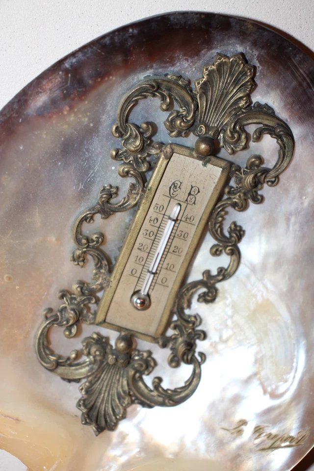 Ancien thermomètre coquillage en nacre XIX ème , Le Tréport - Photo 2/4