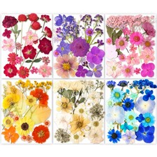 221PCS Real Nature Dried Pressed Flowers for Resin Craft, Dry Pressing Floral...