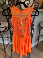 ice skate dress