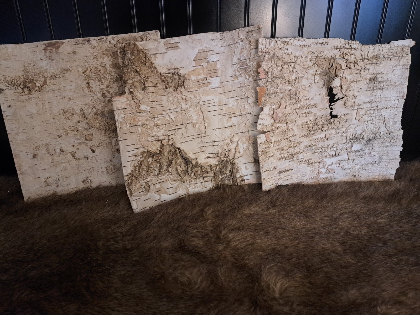 Birch Bark Sheets, new, 11x11 inches, white birch, natural wood and