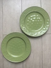 2 Pier 1 Martillo Grass Green Salad breakfast Plate 8.3/4” set of 2 plates