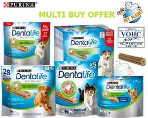 dentalife large