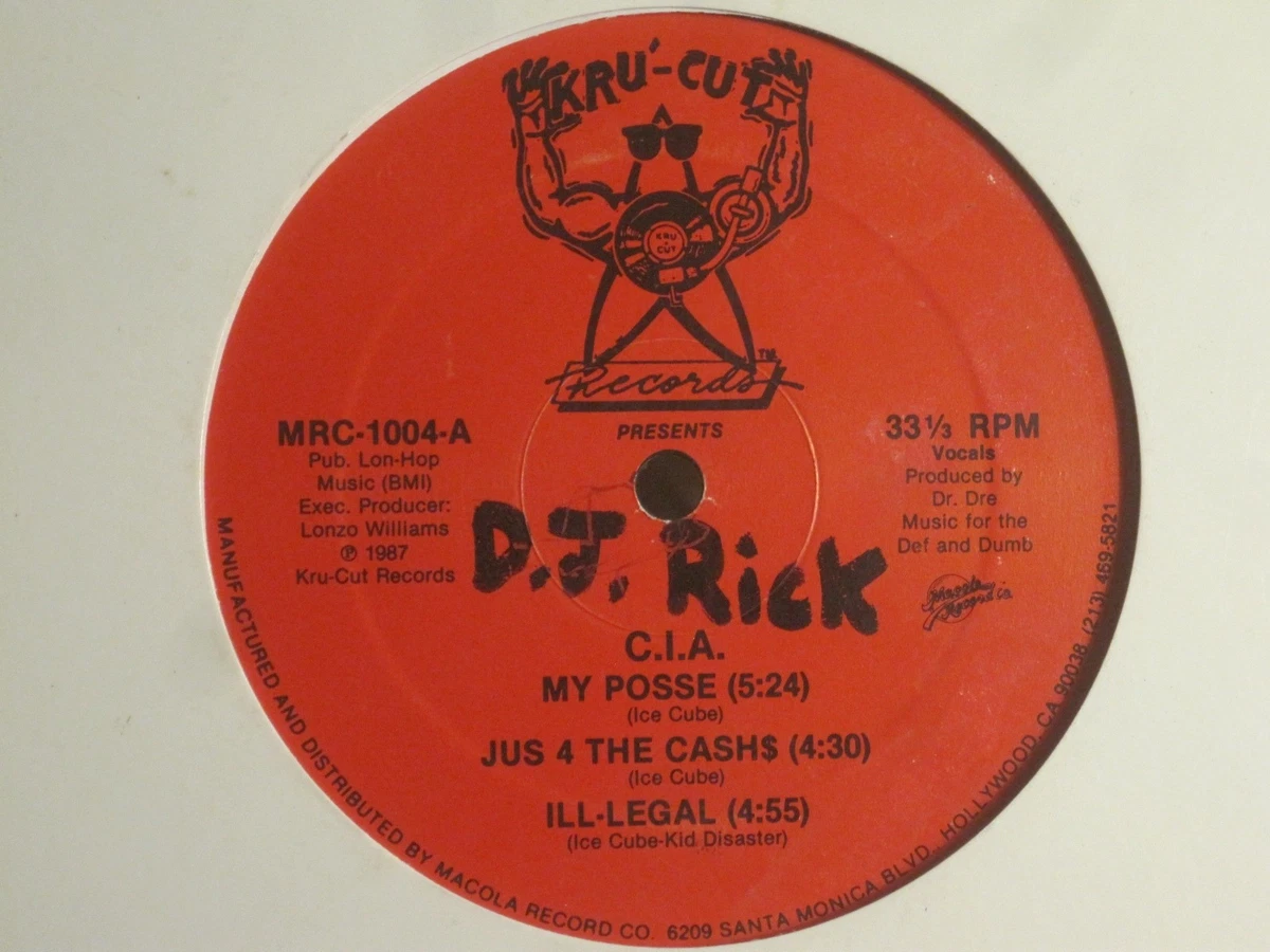Ice Cube Vinyl Records for sale - eBay