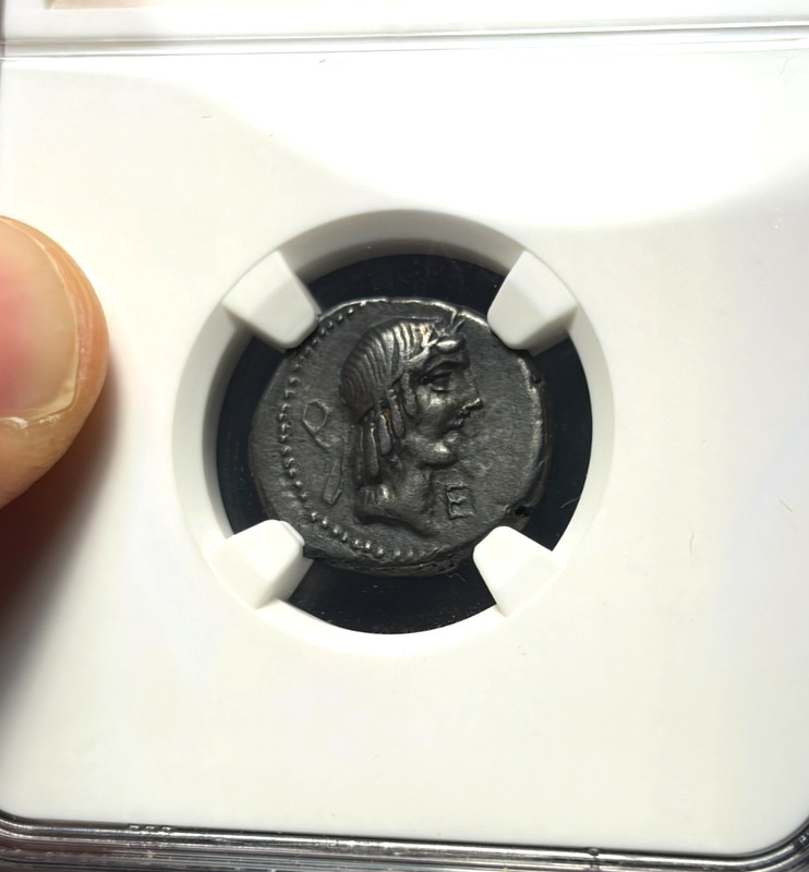 (#102848) Roman Republic: L.C. Piso Frugl 90 BC  NGC VF! (see video!)