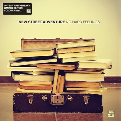 NEW STREET ADVENTURE - NO HARD FEELINGS - Vinyl Record 12 RECORD - F123z