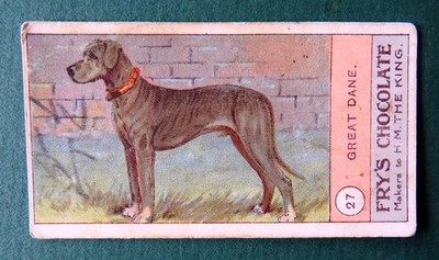 1908 Vintage FRY'S CHOCOLATE Dog Card:  GREAT  DANE  #27